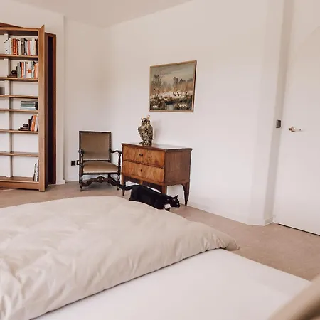 Luxus-loft Auf Dem Zingelhof *